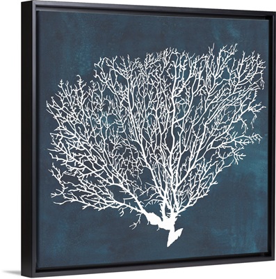 Inverse Sea Fan II