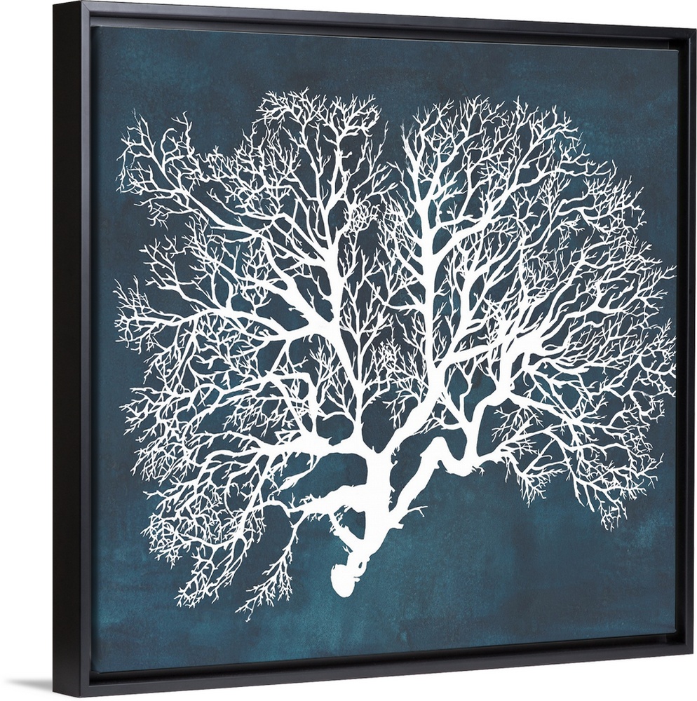 Contemporary nautical themed artwork of a sea fan in white against a dark navy blue background.