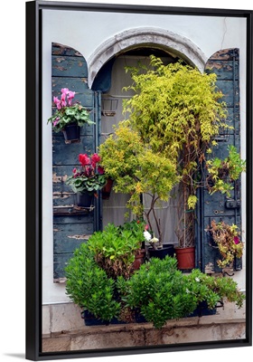 Italian Window Flowers IV