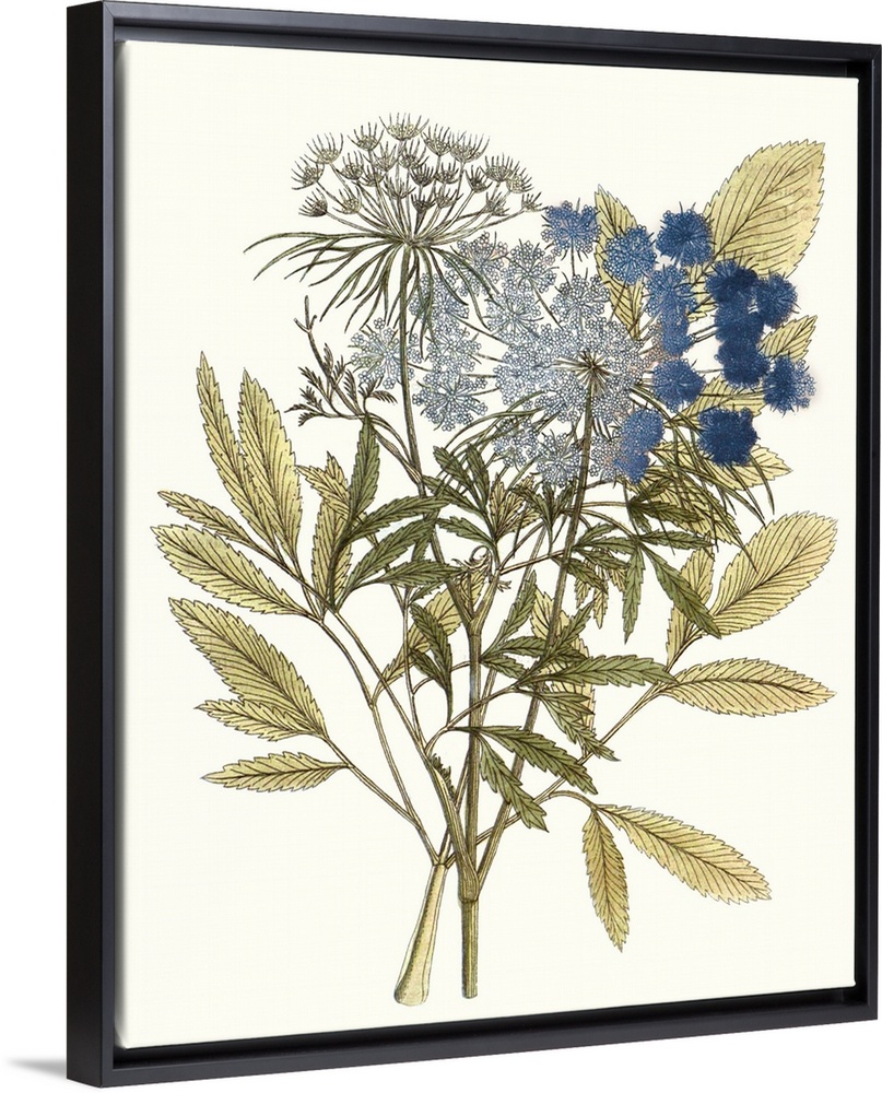 A decorative vintage illustration of group of leaves.