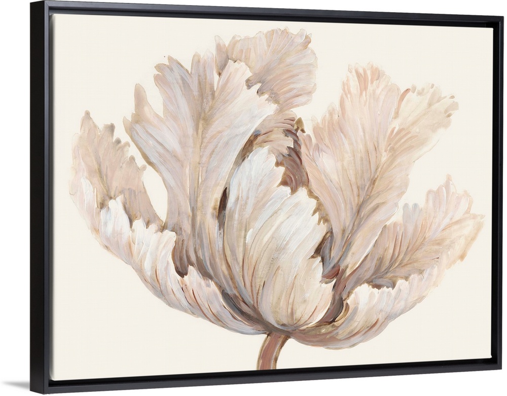 Monochromatic Tulip I