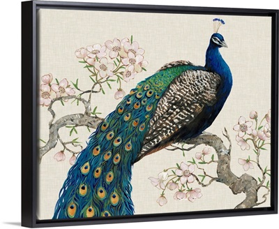 Peacock and Blossoms I