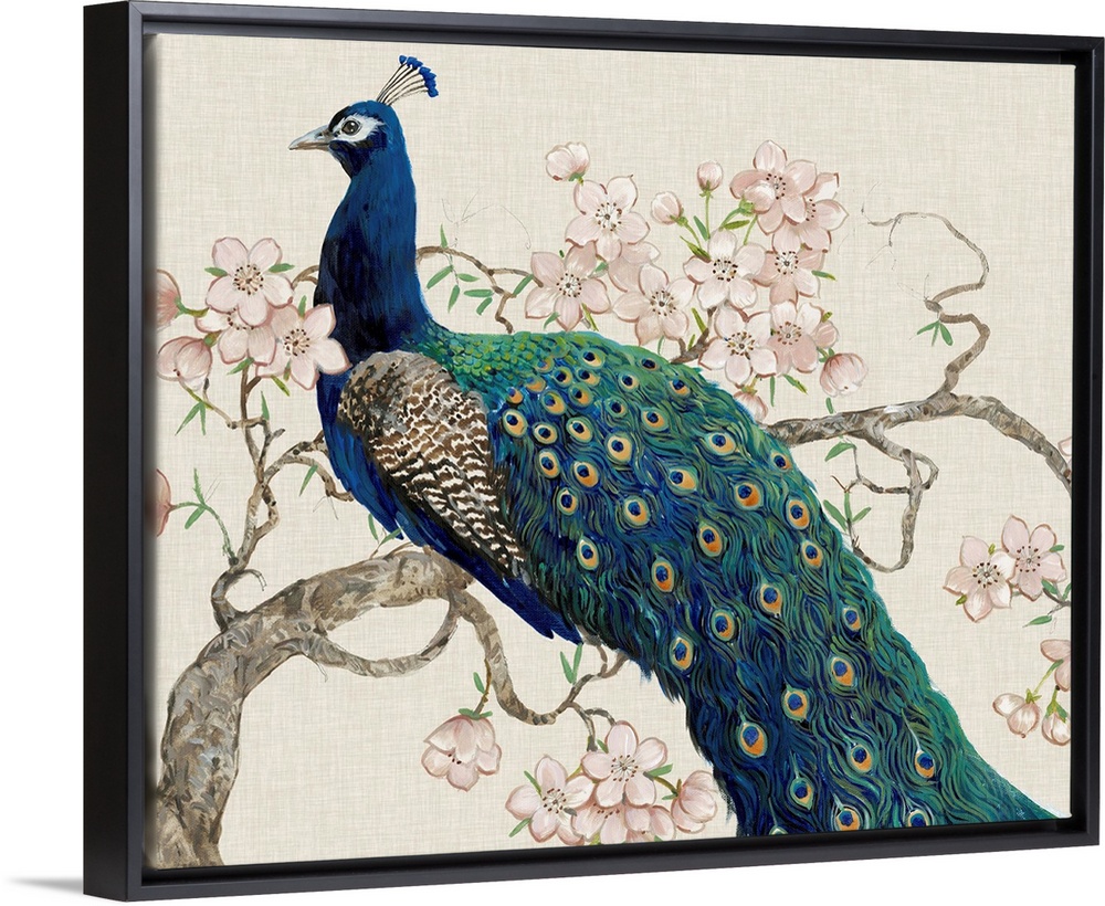 Peacock and Blossoms II