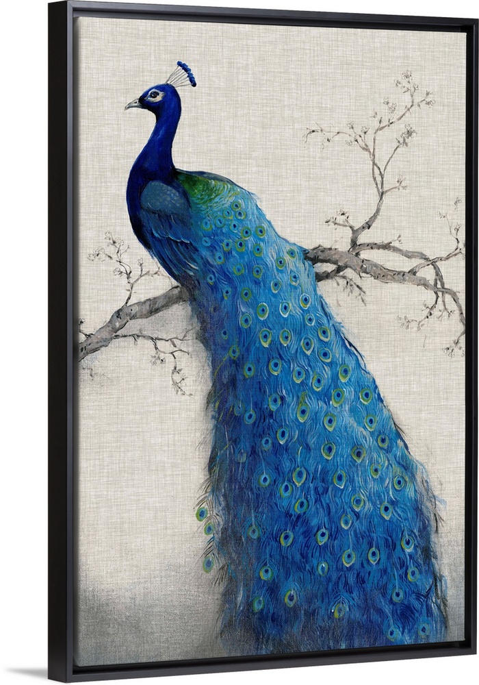 Vertical, large artwork of a vibrant peacock sitting on a branch, its tail feathers flowing downward, on a neutral backgro...