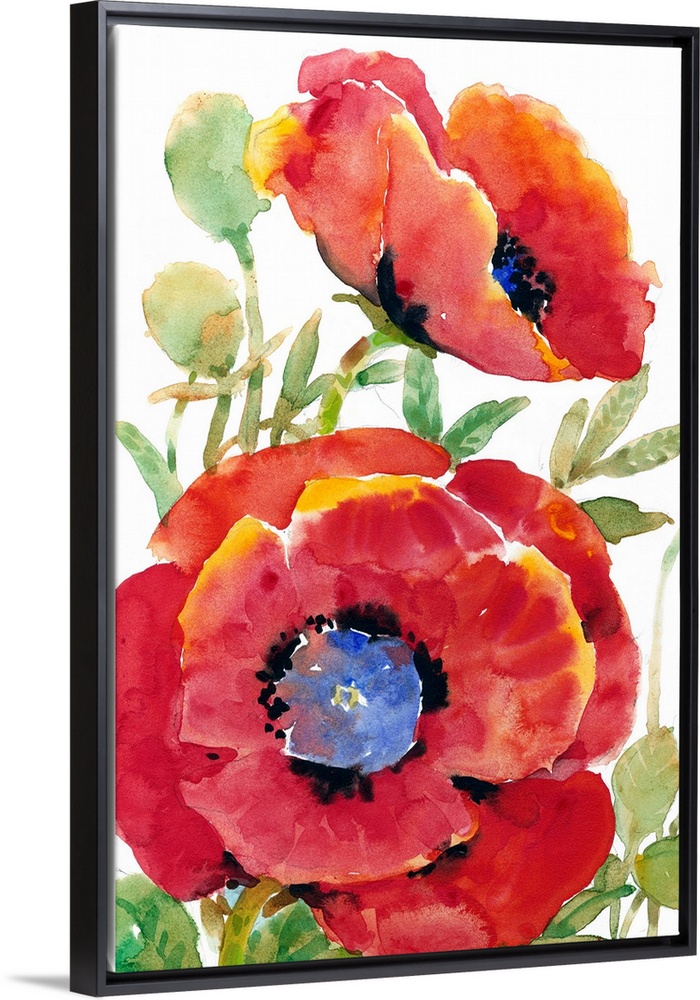 Poppy Floral II