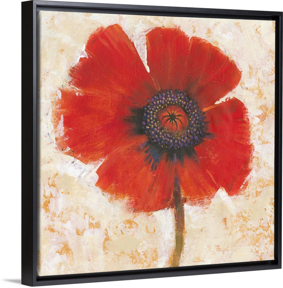 Creative painting of a bright red poppy on a mottled gold and beige backdrop.