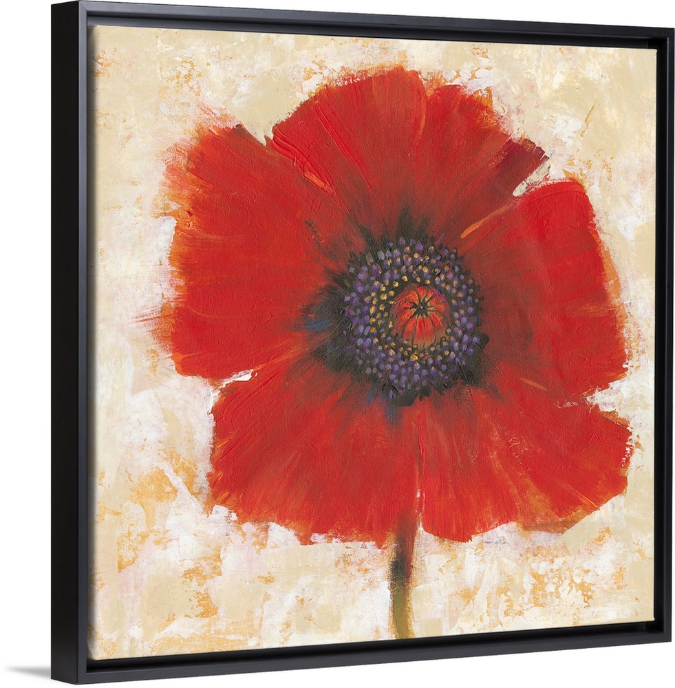 Creative painting of a bright red poppy on a mottled gold and beige backdrop.