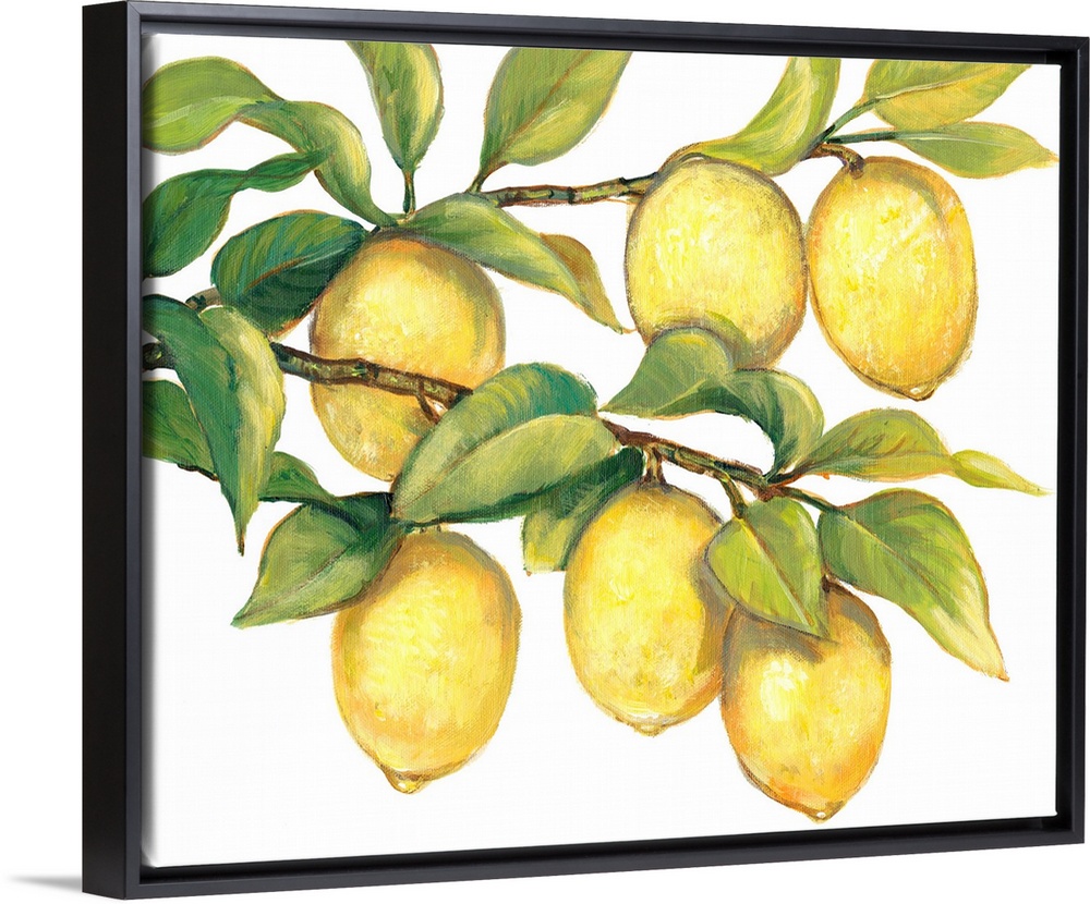 Contemporary painting of ripe lemons hanging from a tree branch.
