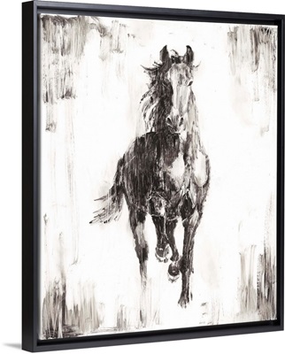 Rustic Black Stallion I