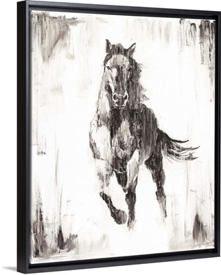 Rustic Black Stallion II