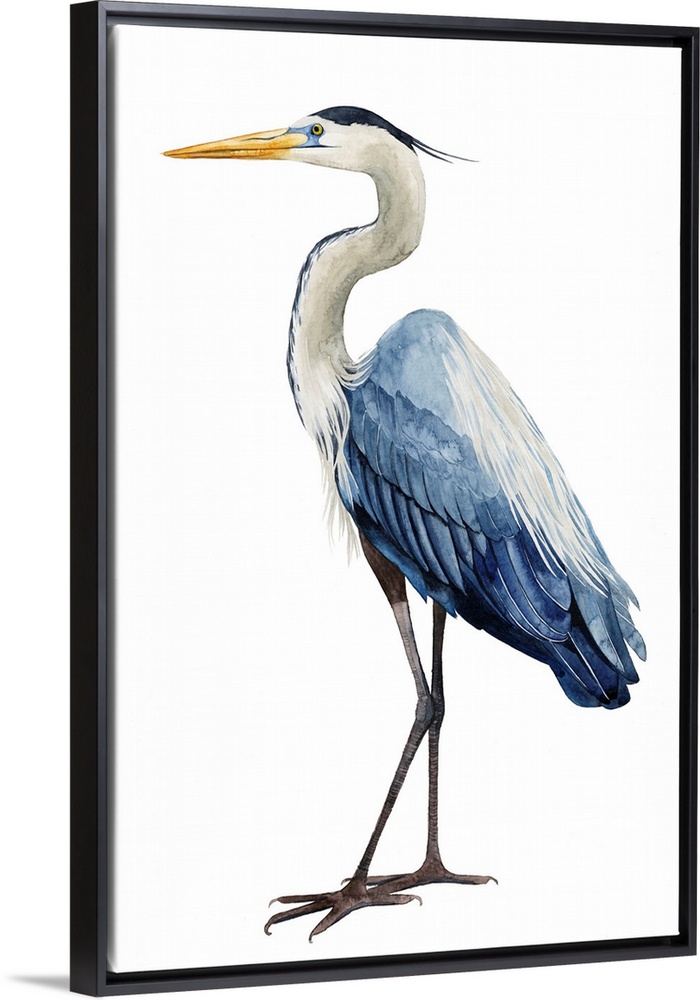 Modern illustration of a great blue heron on a white background.