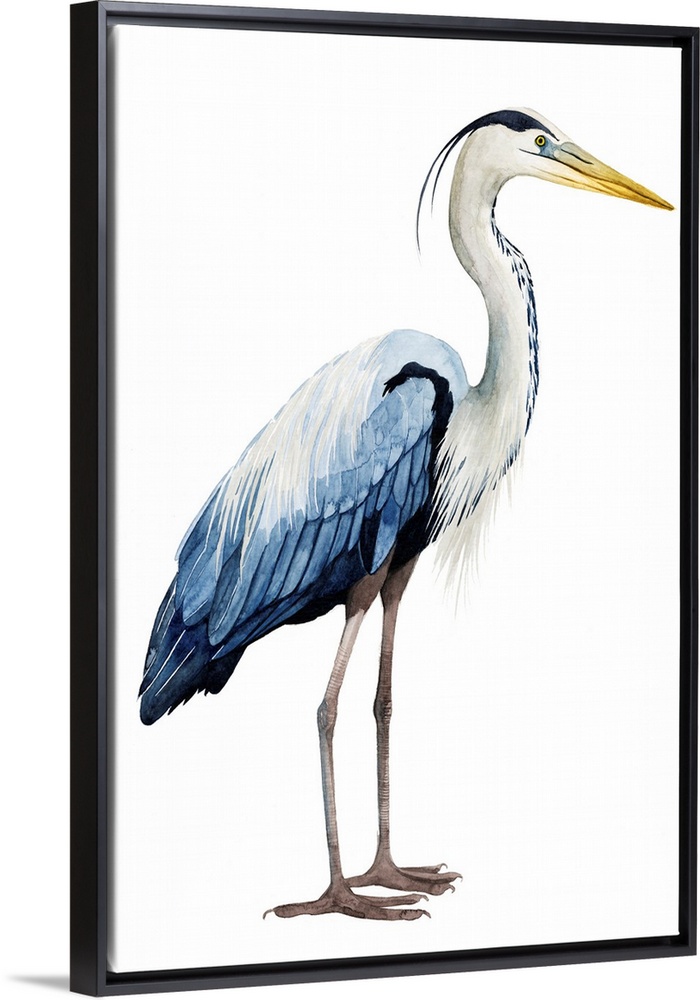 Modern illustration of a great blue heron on a white background.