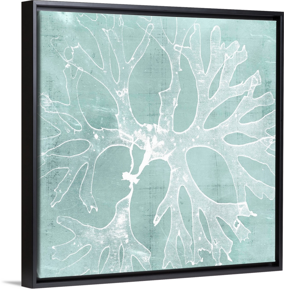 Seaweed illustration in white on an aquamarine blue background.