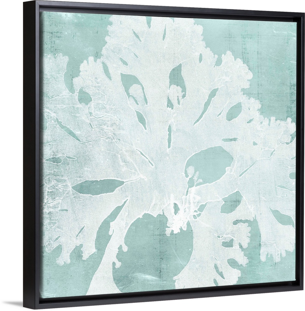 Seaweed illustration in white on an aquamarine blue background.