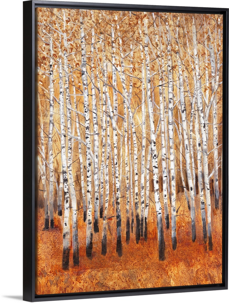 Sienna Birches II