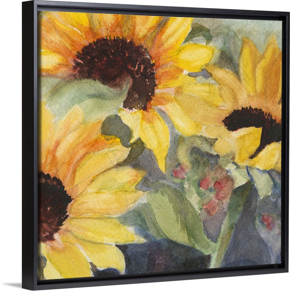 Square watercolor painting of large sunflower blooms.