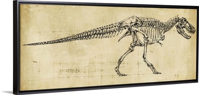 Tyrannosaurus Rex Study