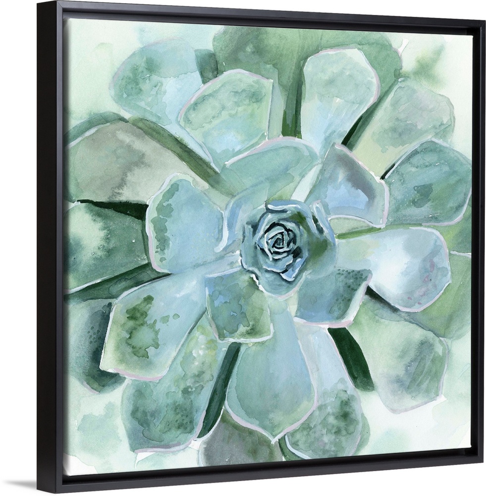 Verdant Succulent III