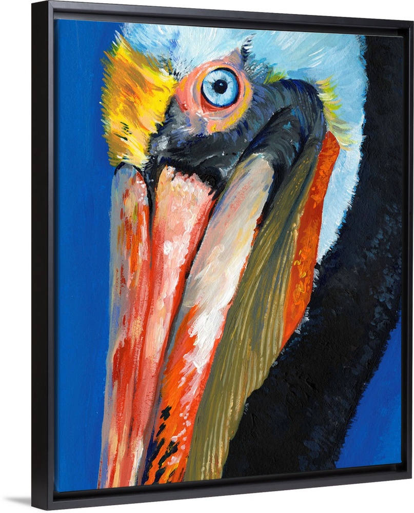 Vibrant Pelican I