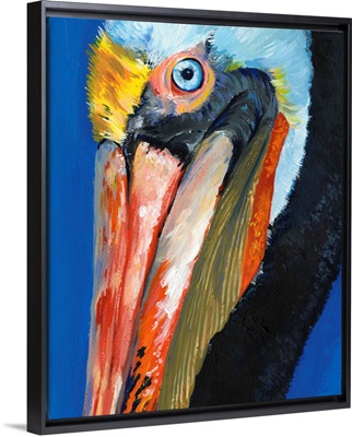 Vibrant Pelican I