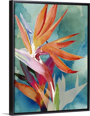 Vivid Birds of Paradise II