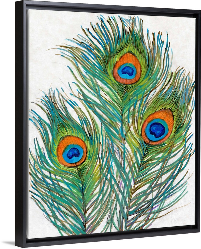 Vivid Peacock Feathers II
