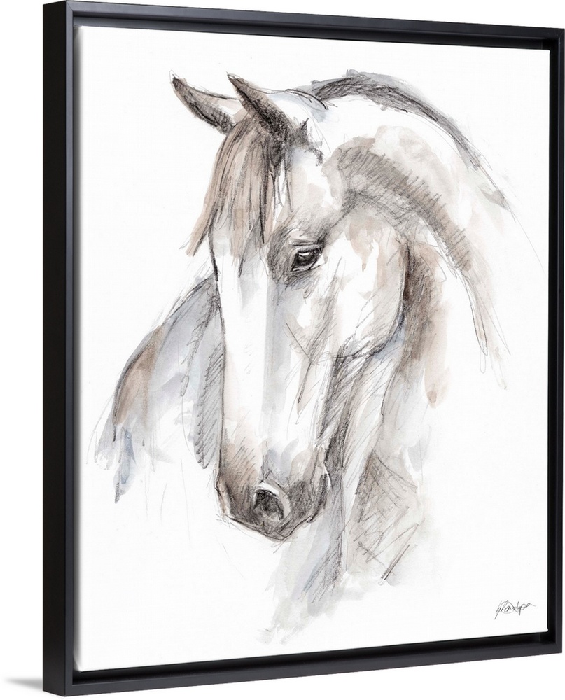 Watercolor Equine Study II