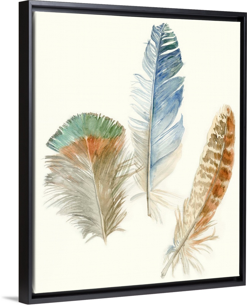 Contemporary watercolor feather illustrations.