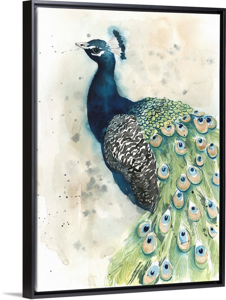 Contemporary watercolor peacock against a neutral background.