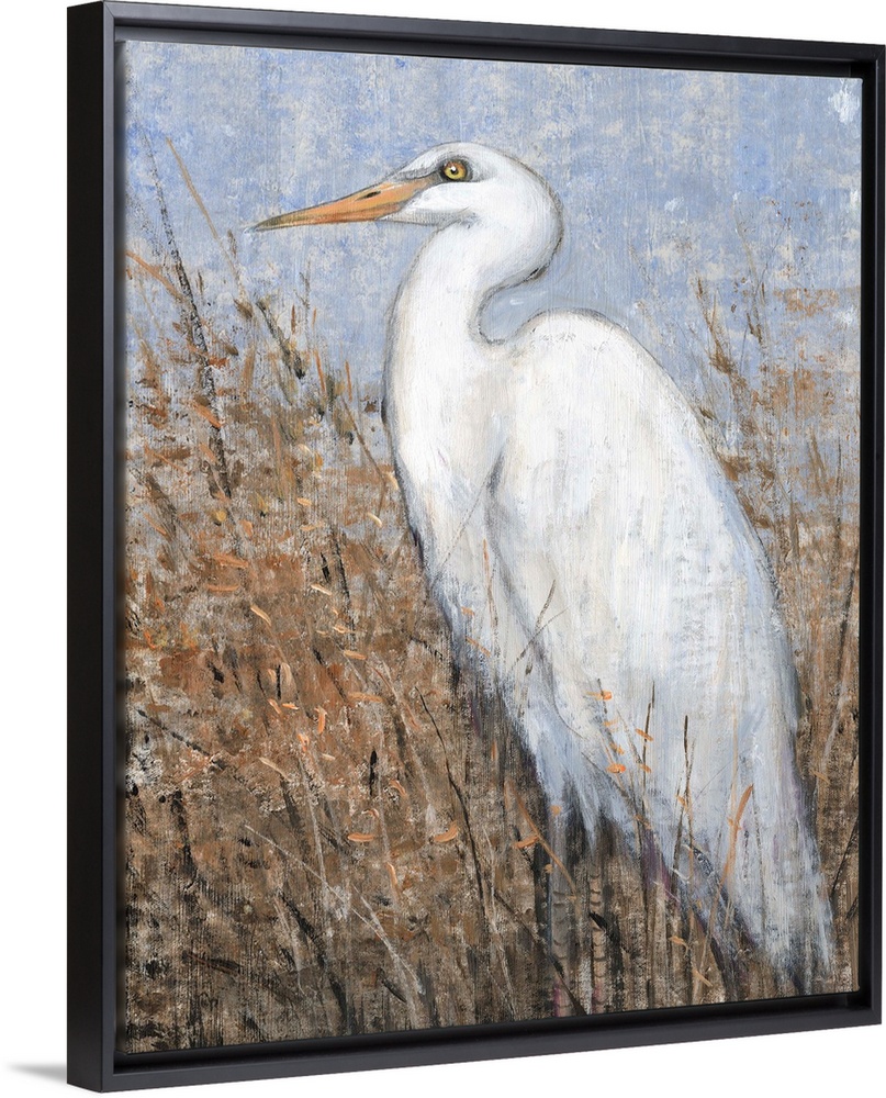 White Heron II