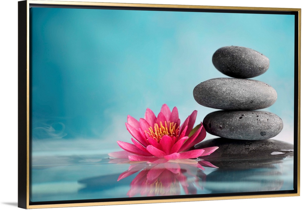 Spa still life with water lily and zen stone in a serenity pool.