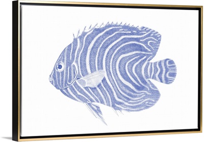Blue & White Tropical Fish II printed as a Stretched Canvas, Gold Floating Frame