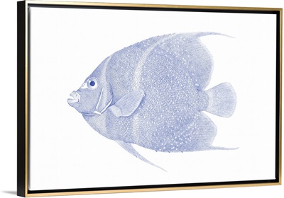 Blue & White Tropical Fish V printed as a Stretched Canvas, Gold Floating Frame