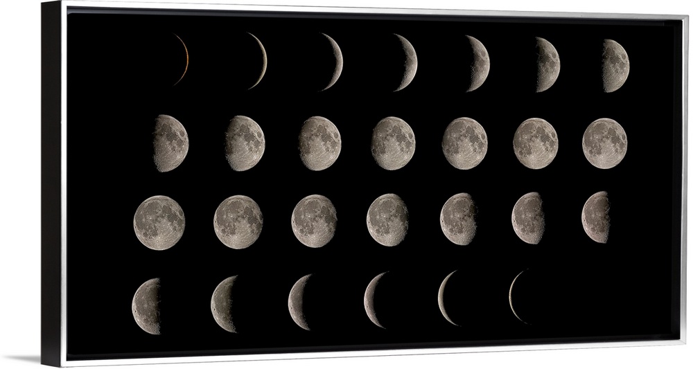 Composite image showing the moon at each stage of its 28 day cycle or a lunar month.