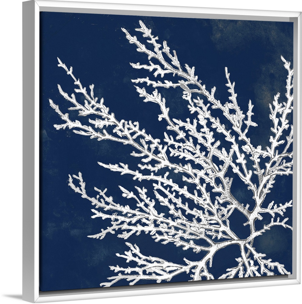 A drawing of coral over a dark ink washes in this square decorative wall art.