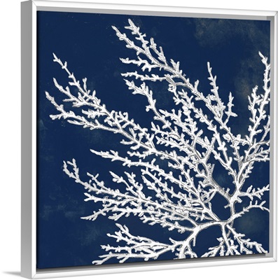 Coastal Coral I printed as a Stretched Canvas, White Floating Frame