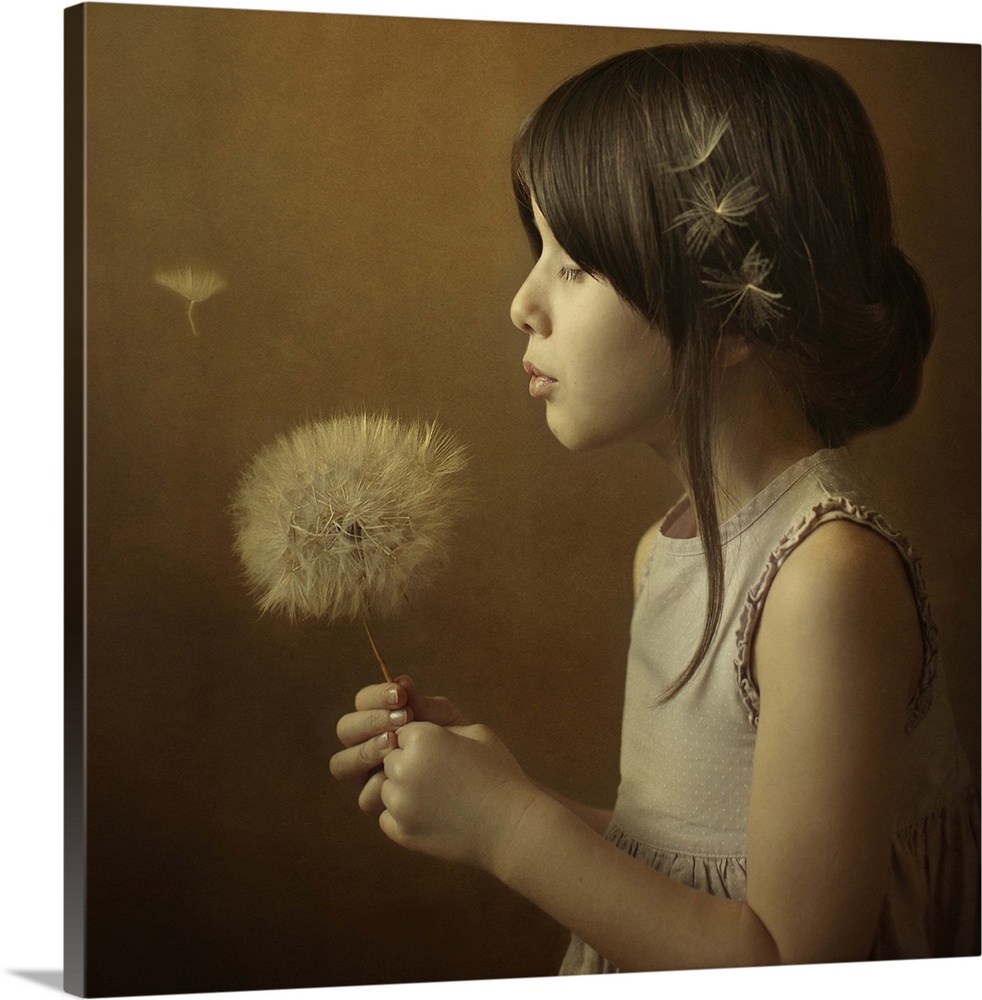 A little girl holding a giant dandelion full of seeds, about to blow the wisps away.