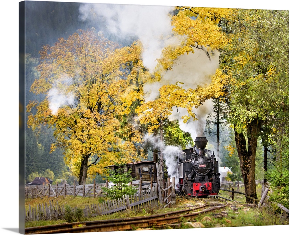 Brightly colored image of a train coming down the track in a forest.