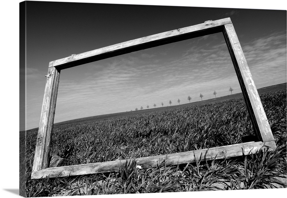 A wooden frame resting in the grass, framing a line of trees on the horizon.