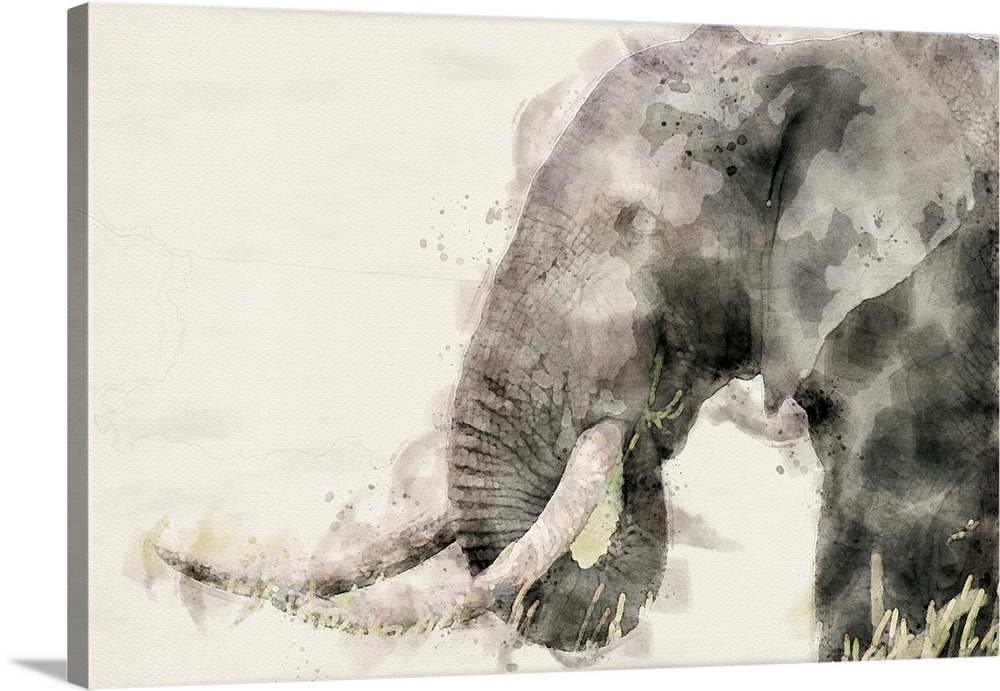 Abstract African Elephant Watercolor