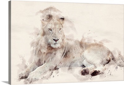 Abstract African Lion Watercolor