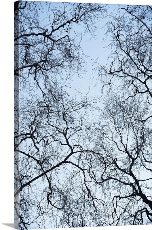 Abstract Tree | Great Big Canvas