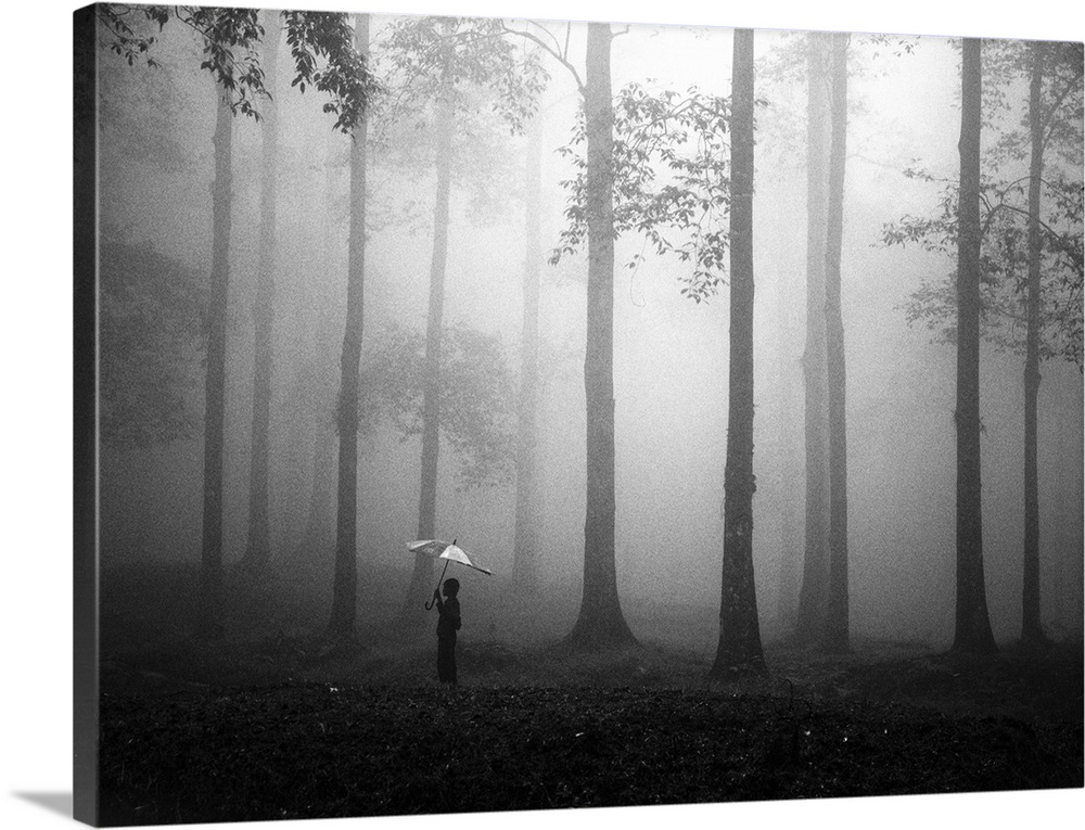 A person holding an umbrella in a misty forest.