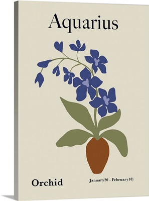Aquarius Orchid