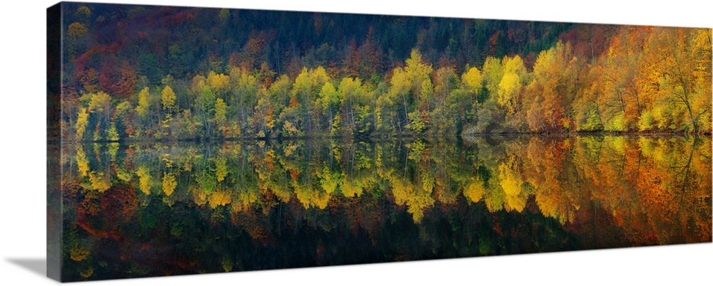 Perfect mirror image of trees turning fall colors in the lake below.