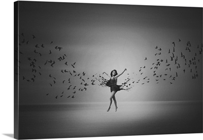 Ballerina Flight Of Birds