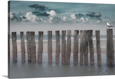Beach Bars
