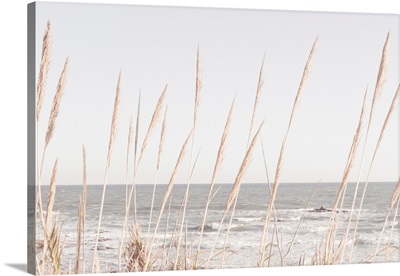Beach Vase 2