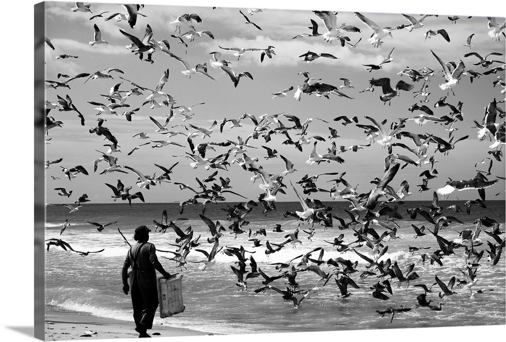 A man on the beach with a large flock of sea gulls in the air.