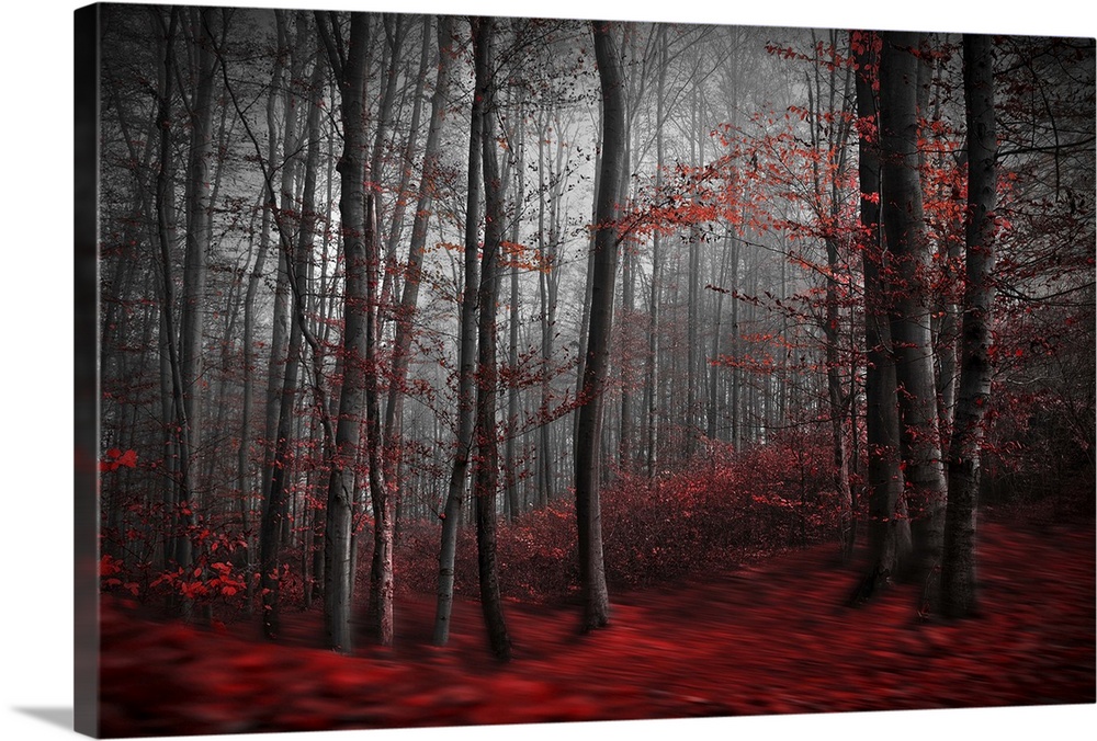 Blurred motion image of a forest in the fall, with red leaves on the ground resembling a river.